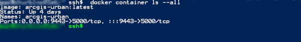 Example output of the docker console check Example output of the docker console check